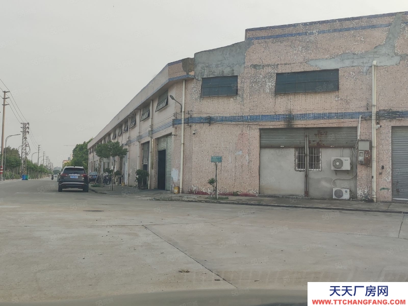 (出租) 中山西區富華路原房東獨院簡易廠房6000方出租滴水9米可分租