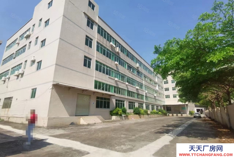 (出租) 中山小欖九洲基獨(dú)門(mén)獨(dú)院5500方出租