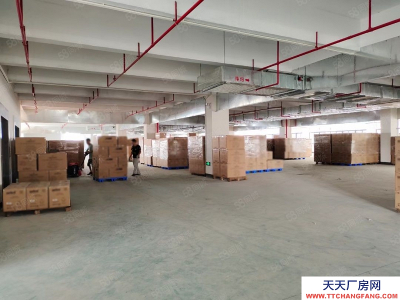 (出租) 中山小欖九洲基獨門獨院5500方出租