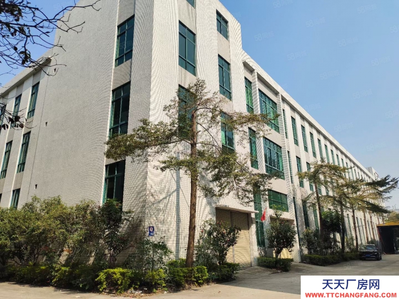 (出租) 中山小欖獨門獨院7700平方出租,可分租