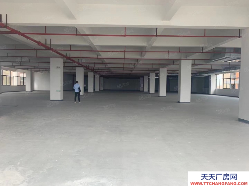 (出租) 中山小欖鎮永寧工業樓上標準重工業廠房招租有超大停車場,采光好