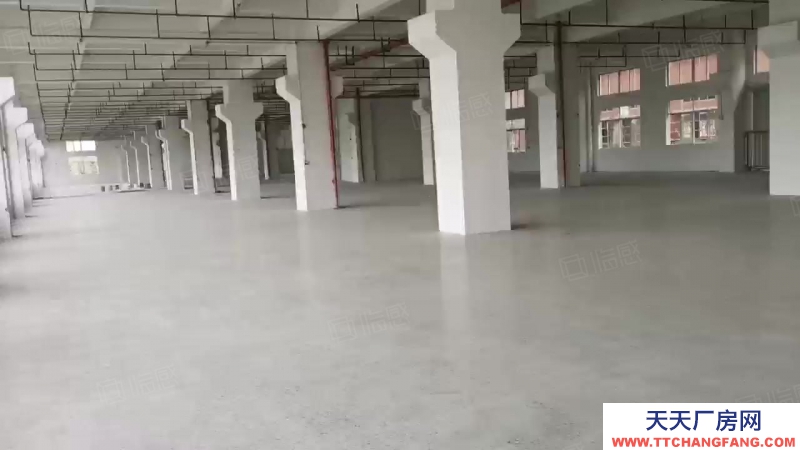 (出租) 中山小欖鎮寶豐社區樓上每層3000方全新廠房出租分租一共5層