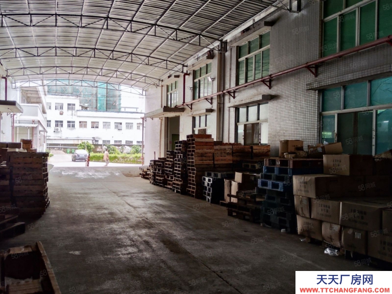 (出租) 中山三鄉鎮鴉崗標準(一樓1500平方)帶牛角現成航車原房東直租