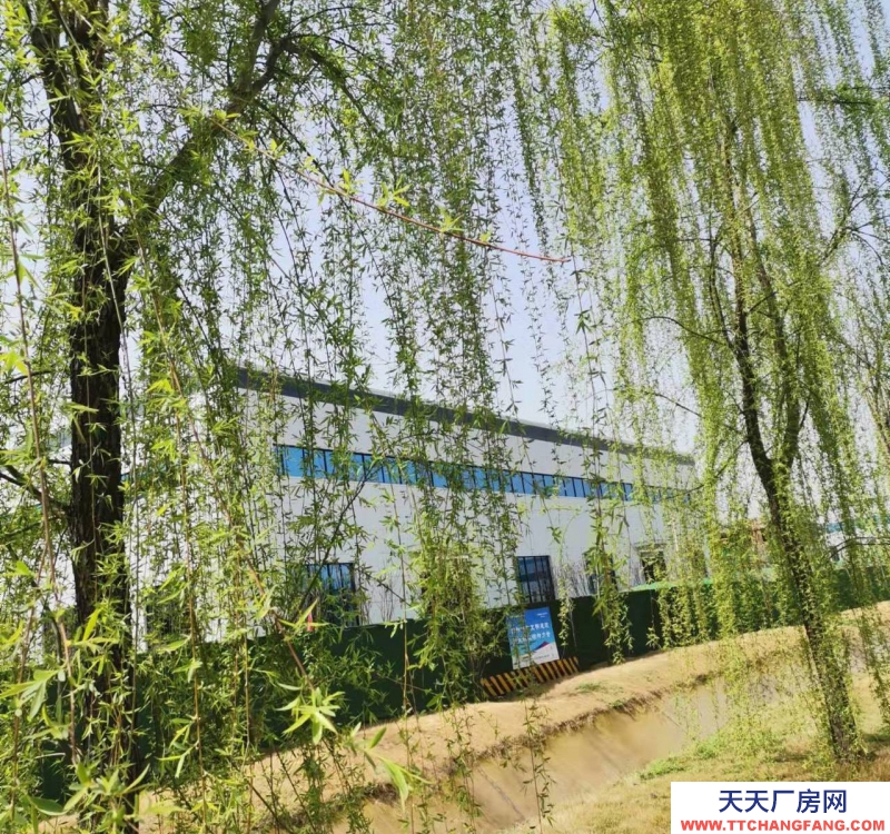 (出租)西安藍田 現(xiàn)房.單層鋼構(gòu).層高13.1米.預(yù)留10噸航吊