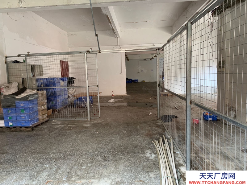 (出租) 中山三鄉鎮原房東(一樓350平方)小面積廠房出租獨層獨戶空地大