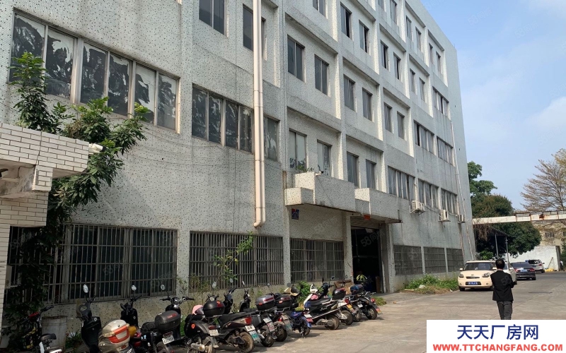 (出租) 中山三鄉標準廠房(1050平方樓上)現成裝修辦公室有地坪漆