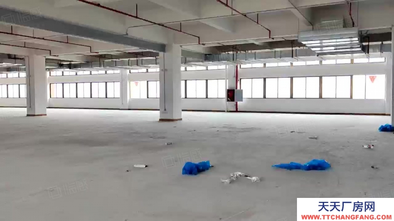 (出租) 中山市三鄉鎮靠珠海坦州谷都大道旁原房東實際面積4962平方租