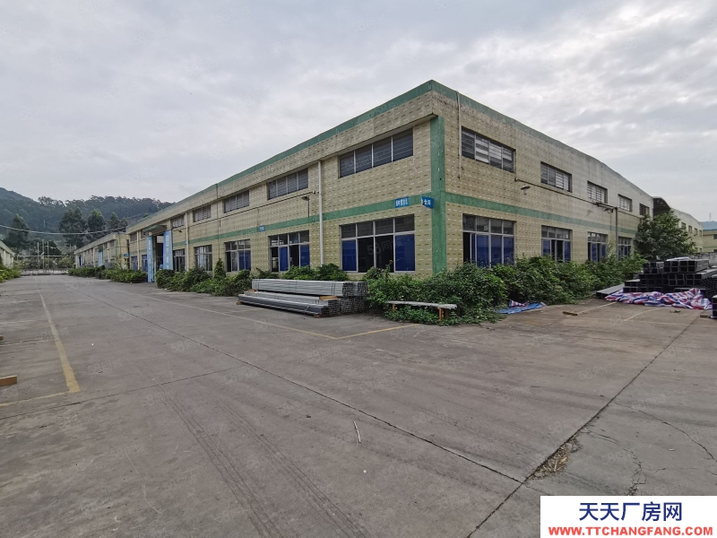 (出租) 中山三鄉(xiāng)剛出!單一層星棚2300平出租可辦環(huán)評