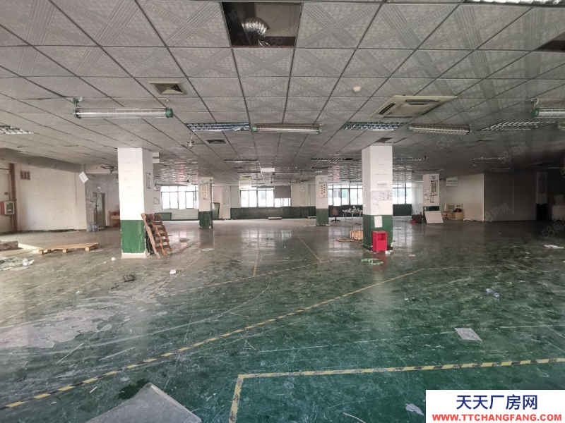 (出租) 中山沙溪新出樓上精裝修廠房1300平帶地坪漆辦公室無行業限制