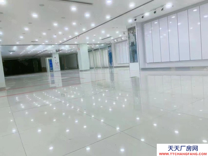 (出租) 中山沙溪中心市場對面 獨門獨院廠房出租3000平方 現成裝修