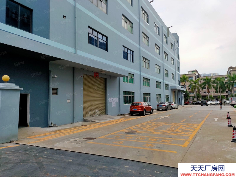 (出租) 中山沙溪 贈!免租期 沙溪鎮(zhèn)標(biāo)準(zhǔn)廠房出租 臨高速出口 大小面積可分租