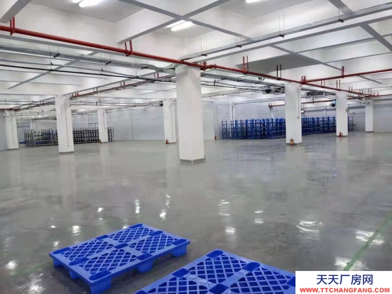 (出租) 中山沙溪 贈！免租期 沙溪鎮標準廠房出租 臨高速出口 大小面積可分租