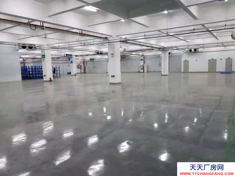 (出租) 中山沙溪 贈!免租期 沙溪鎮(zhèn)標(biāo)準(zhǔn)廠房出租 臨高速出口 大小面積可分租