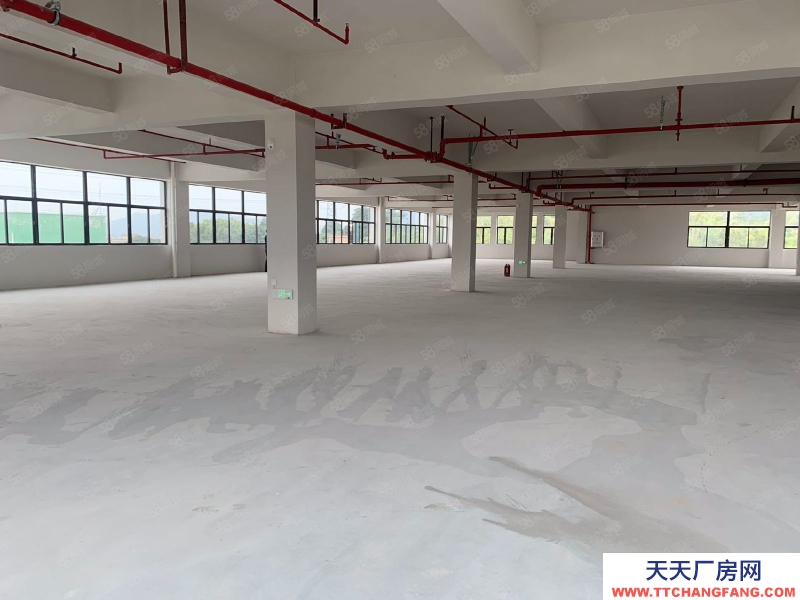 (出租) 中山古鎮(zhèn)贈免租期!獨院廠房全新紅本廠房20000方,面積隨意分租