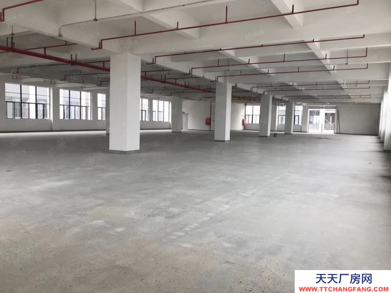 (出租) 中山古鎮曹二新出標準廠房5000平大小可分租 原房東帶精裝修