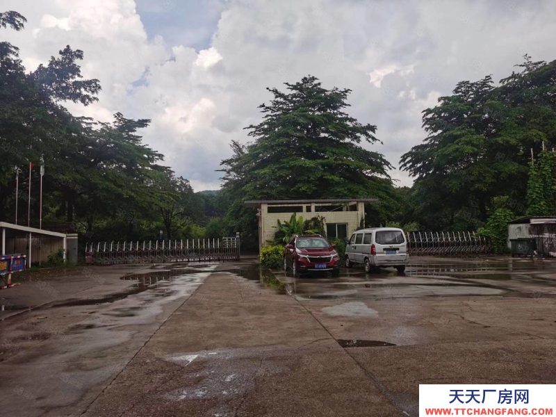 (出租) 中山南區原房東15700方現成行吊，面積食量，可分租，圖片真實