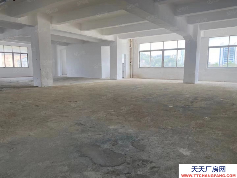 (出租) 中山南區(qū)免租期3個(gè)月，廠房出租，大小可分租