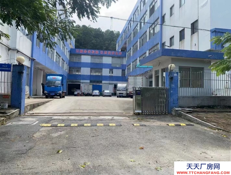 (出租) 中山南區免租期3個月，廠房出租，大小可分租