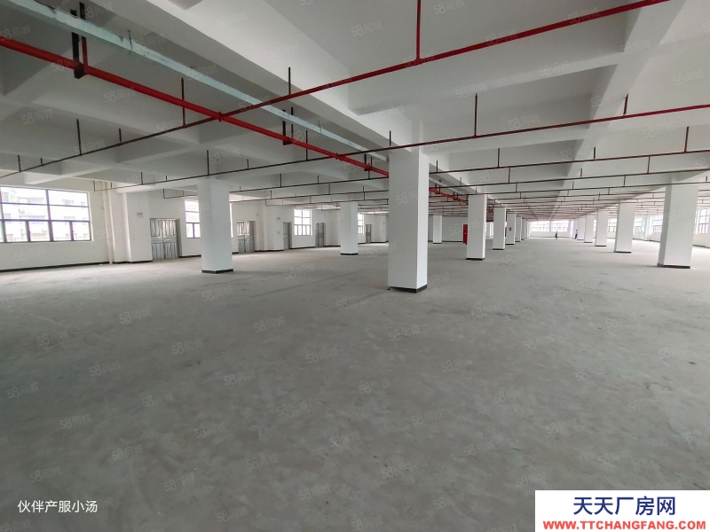 (出租) 中山南區(qū)獨院廠房出租樓上單層3000平方可分租整個園區(qū)3萬平