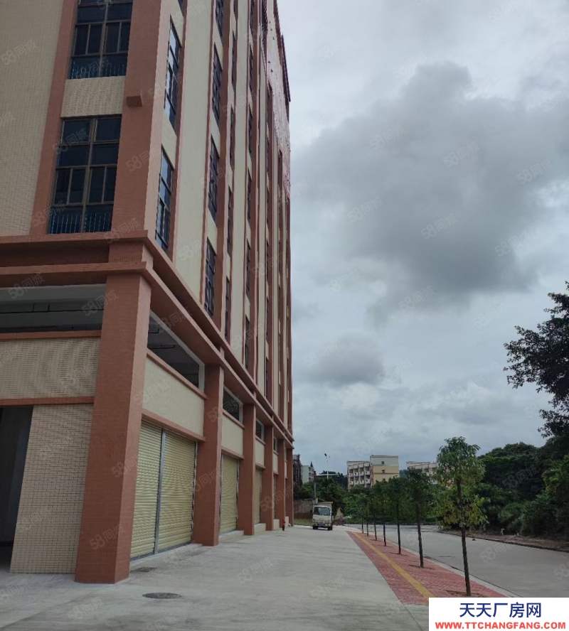 (出租) 中山南區(qū)全新樓房出租37800方，大小隨意分租