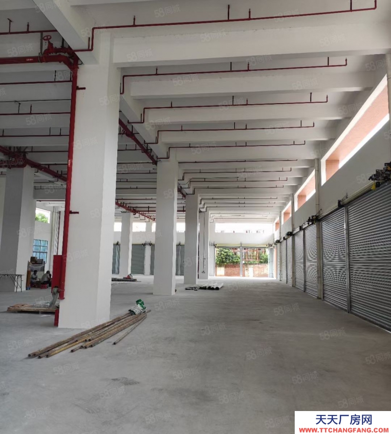 (出租) 中山南區(qū)全新樓房出租37800方，大小隨意分租