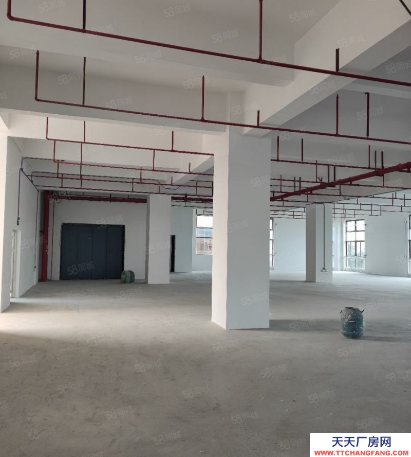 (出租) 中山南區(qū)全新樓房出租37800方，大小隨意分租