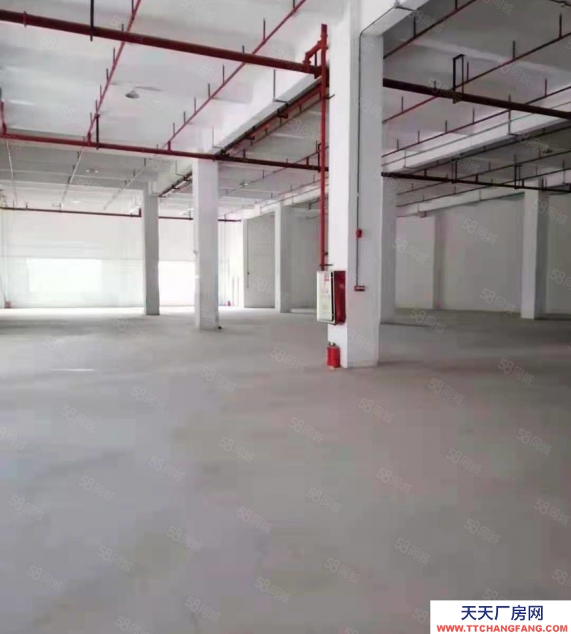 (出租) 中山南區(qū)獨(dú)門(mén)獨(dú)院全新廠房7440方，可分租