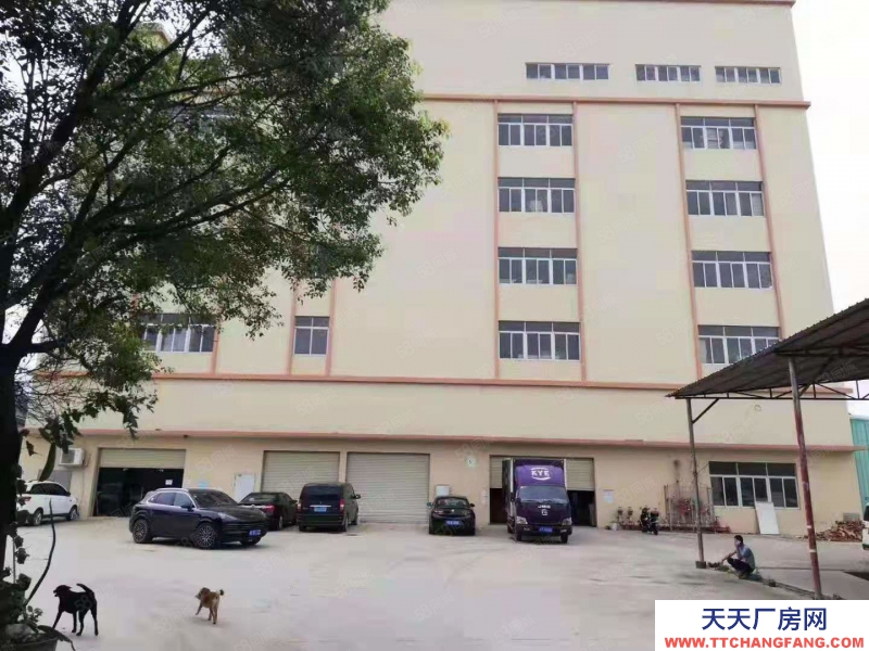 (出租) 中山南區(qū)獨門獨院全新廠房7440方，可分租