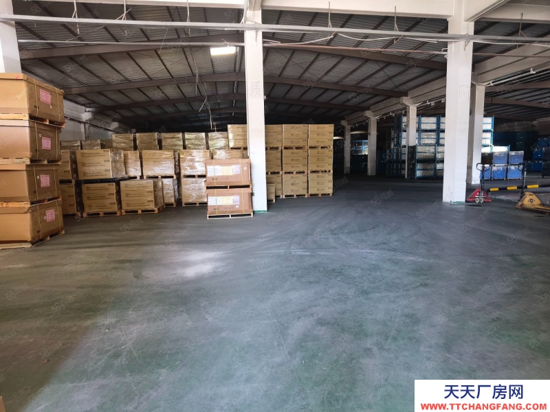 (出租) 中山港口單一層鋼結(jié)構(gòu)廠房5000平米實際面積出租,可以分組
