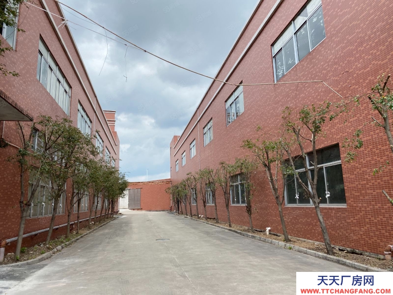 (出租) 中山港口標準廠房出租 大小面積隨意分組