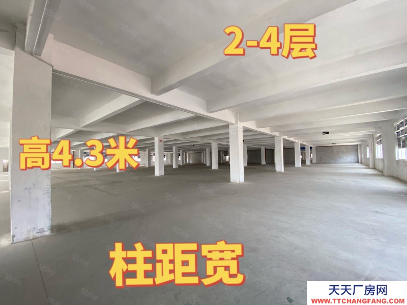 (出租) 中山港口標準廠房出租 大小面積隨意分組