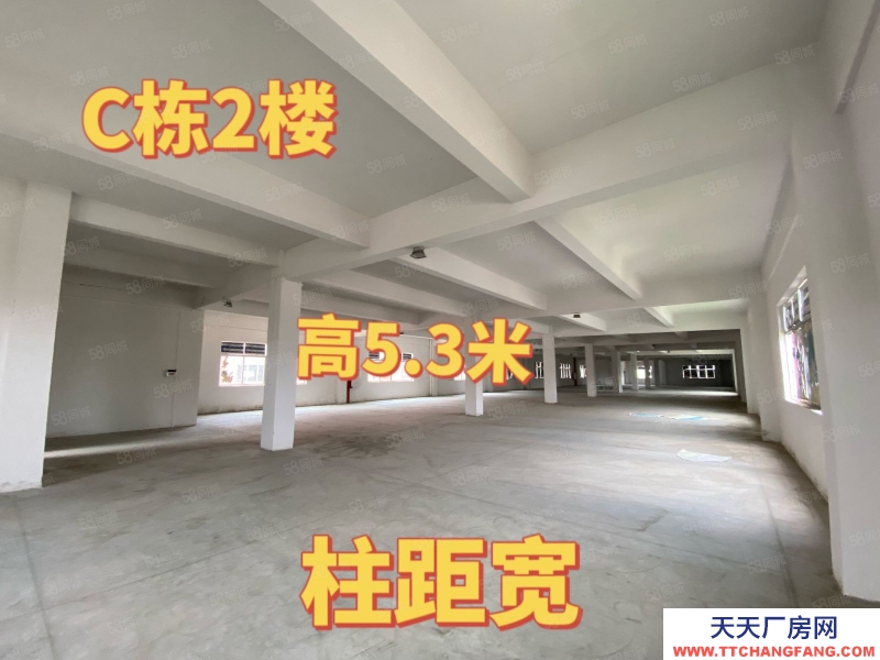 (出租) 中山港口標準廠房出租 大小面積隨意分組