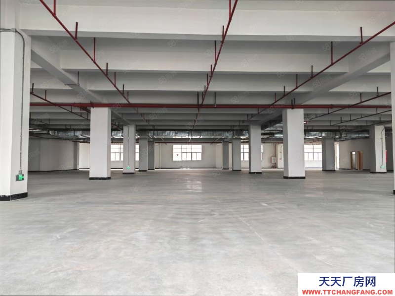 (出租) 中山市港口鎮全新工業廠房14900平米出租有房產證帶消防噴淋