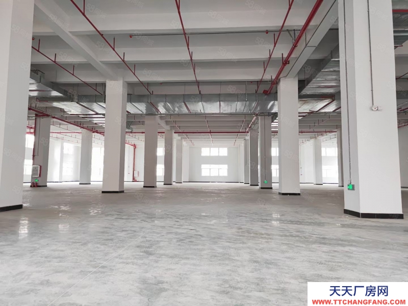 (出租) 中山市港口鎮全新工業廠房14900平米出租有房產證帶消防噴淋