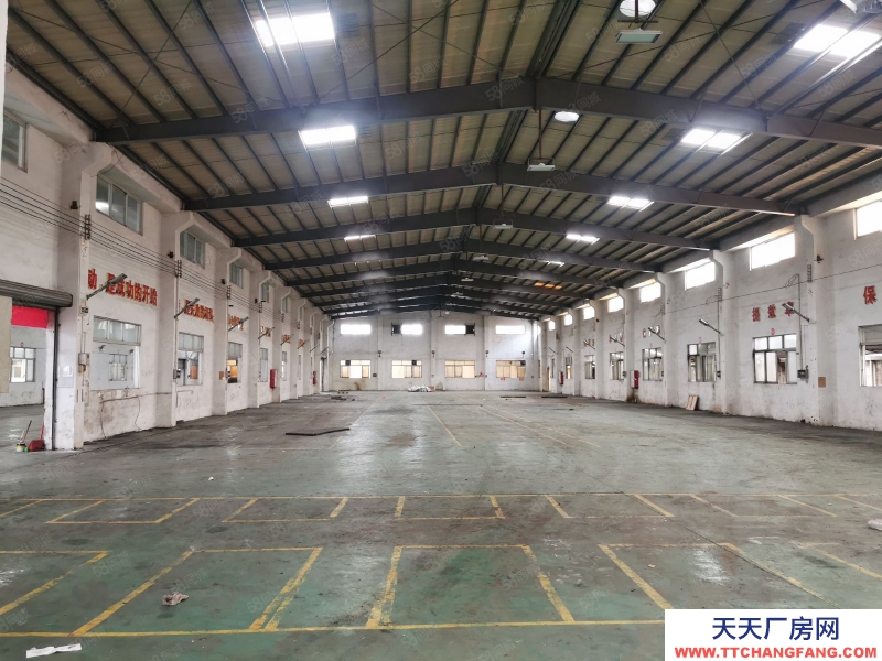 (出租) 中山東升高沙4500方獨院星棚出租