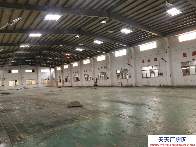 (出租) 中山東升高沙4500方獨院星棚出租