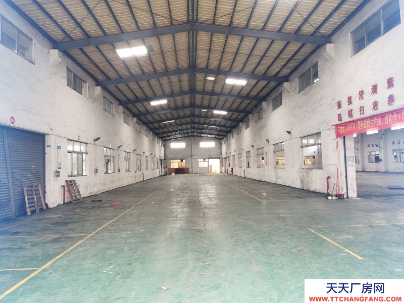 (出租) 中山東升高沙4500方獨院星棚出租