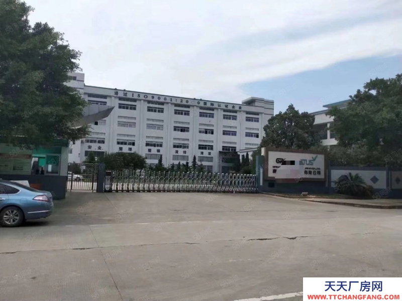 (出租) 中山東升鎮鉅惠!標準廠房 大小面積隨意分 臨高速路 廠房倉庫出租