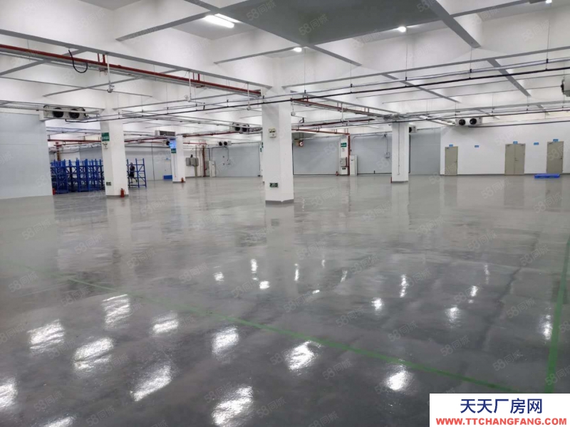 (出租) 中山東升鎮鉅惠!標準廠房 大小面積隨意分 臨高速路 廠房倉庫出租