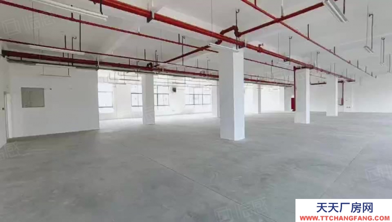 (出租) 中山東升鎮(zhèn)鉅惠！標準廠房 大小面積隨意分 臨高速路 廠房倉庫出租