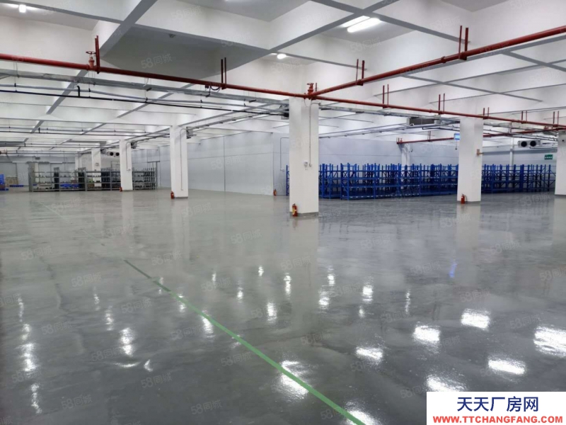 (出租) 中山東升鎮鉅惠!標準廠房 大小面積隨意分 臨高速路 廠房倉庫出租