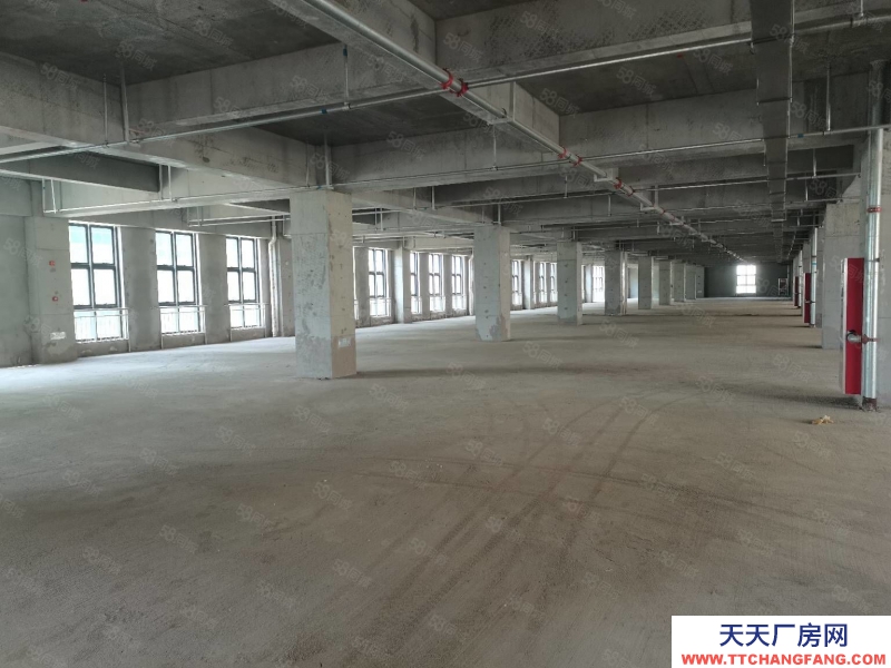 (出租) 西安長(zhǎng)安區(qū)郭杜十字附近5000平正規(guī)園區(qū)廠房出租出售