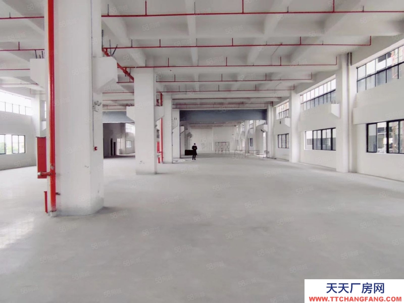 (出租) 中山東升東鳳獨門獨院標準廠房出租50000平,500平起分租高度9米