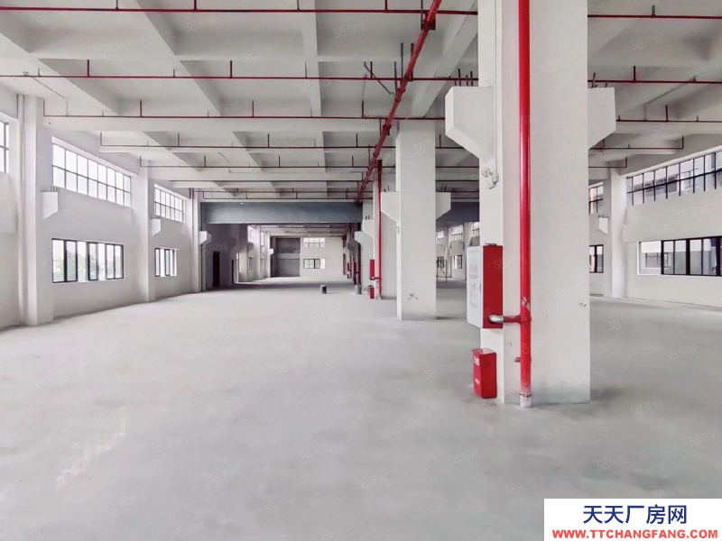 (出租) 中山東升東鳳獨門獨院標準廠房出租50000平,500平起分租高度9米