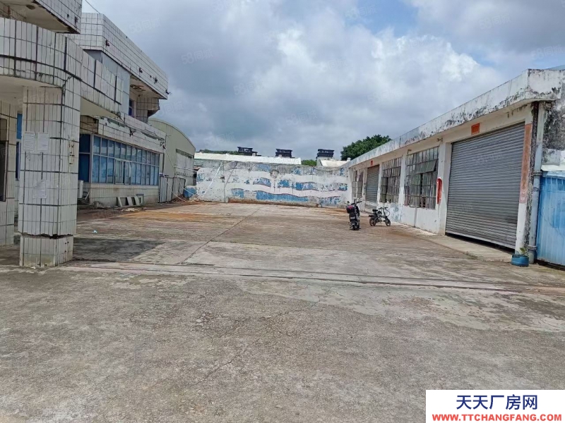 (出租) 中山南朗獨門獨院單一層2800方招租可分租