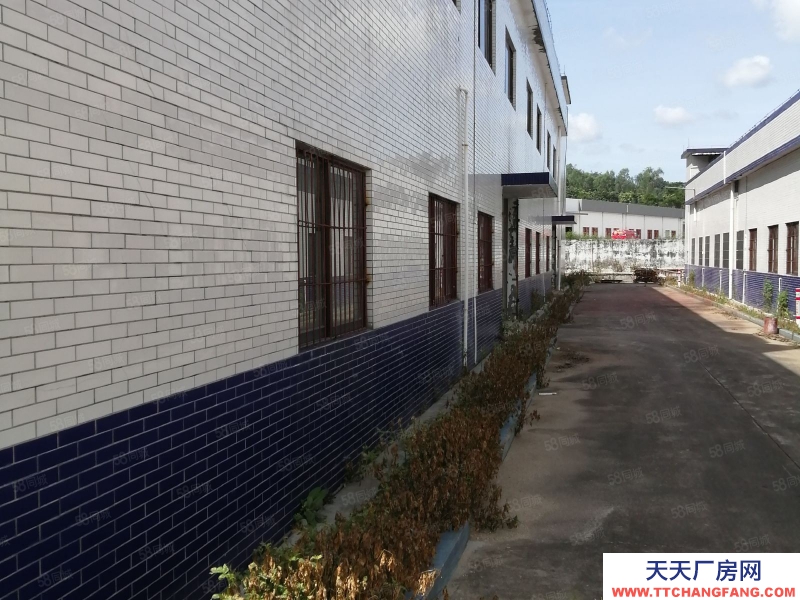 (出租) 中山南朗獨棟標準廠房2600方招租，價格優惠