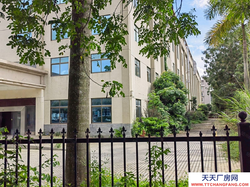 (出租) 中山南朗標準廠房，形象好價格實惠，獨門獨院，有現成辦公室，宿舍