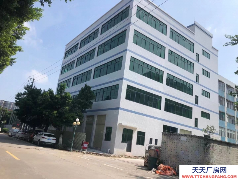 (出租) 中山東鳳鎮(zhèn)105國道交警隊(duì)經(jīng)典小獨(dú)院樓上750平廠房出租可環(huán)評(píng)