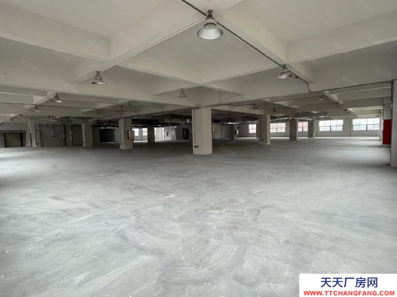 (出租) 中山東鳳鎮(zhèn)105國道交警隊經(jīng)典小獨院樓上750平廠房出租可環(huán)評