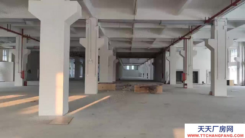 (出租) 中山東鳳大道園區紅本標準廠房30000方出租可分租環評秒過